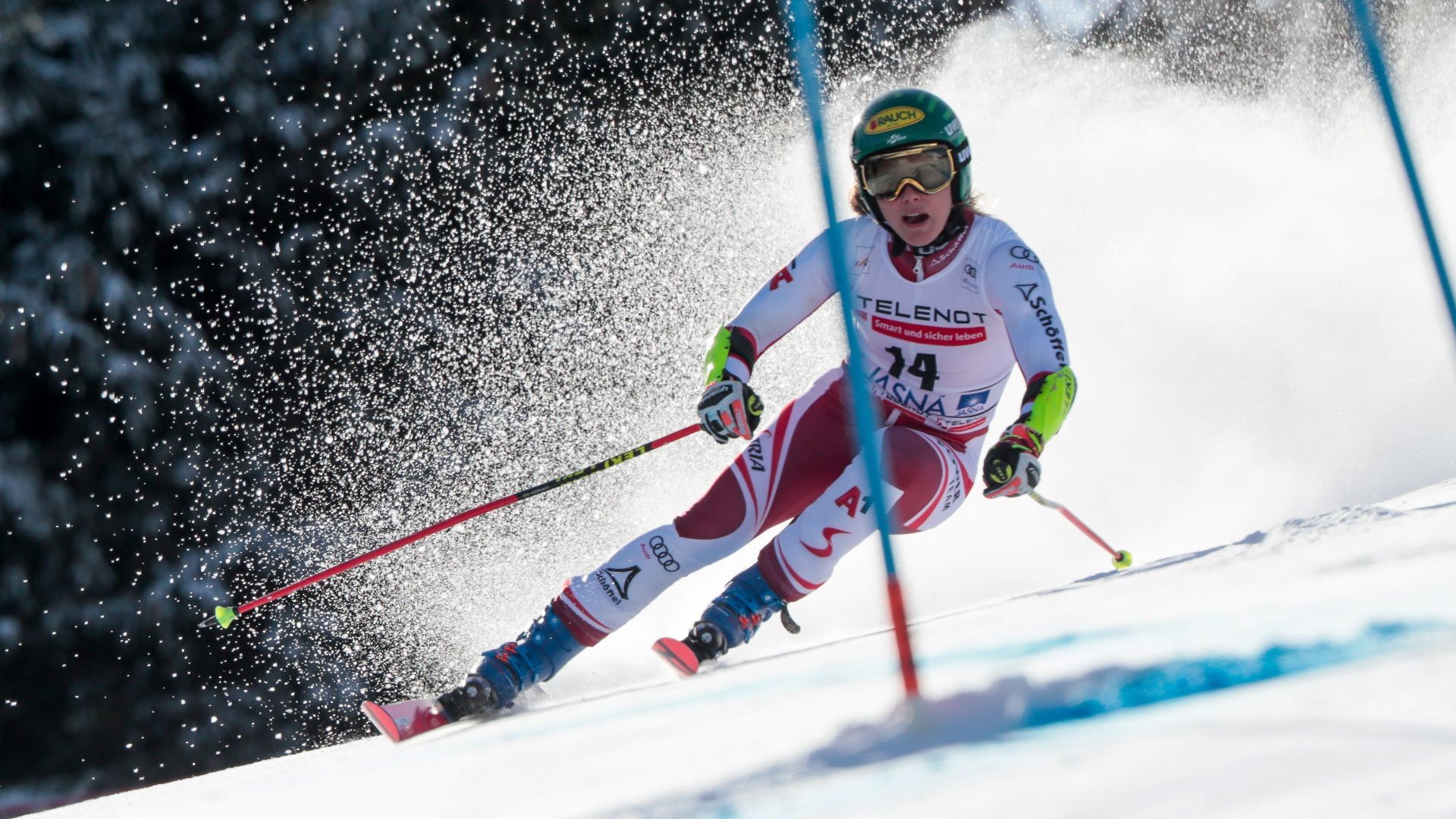 Ski-alpin1.jpg